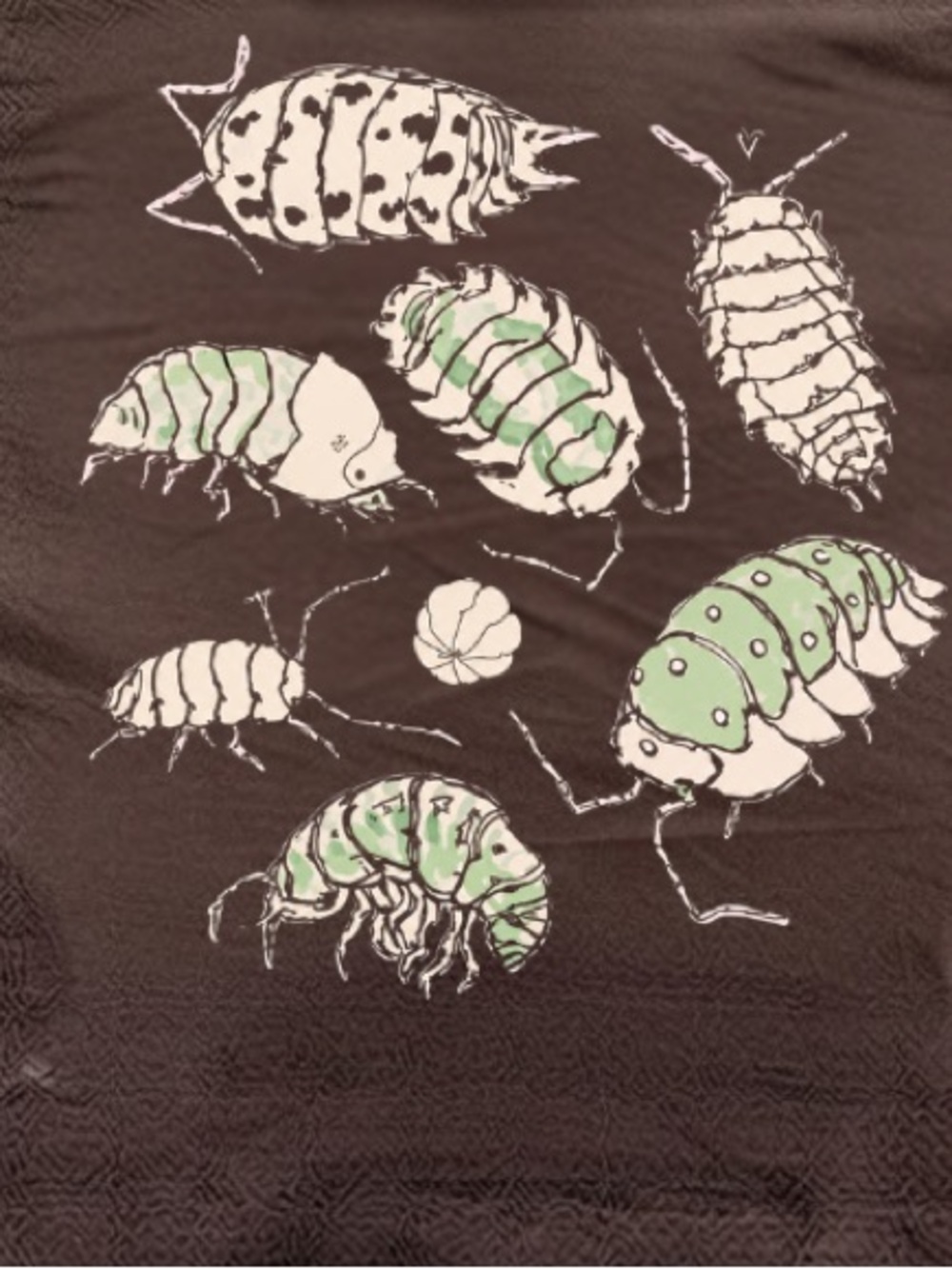 Isopod Roly Poly Pill Bug Cute Insects Vintage Brown T-Shirt - Picture 3 of 7